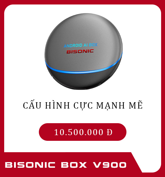 Bisonic Android Box V900